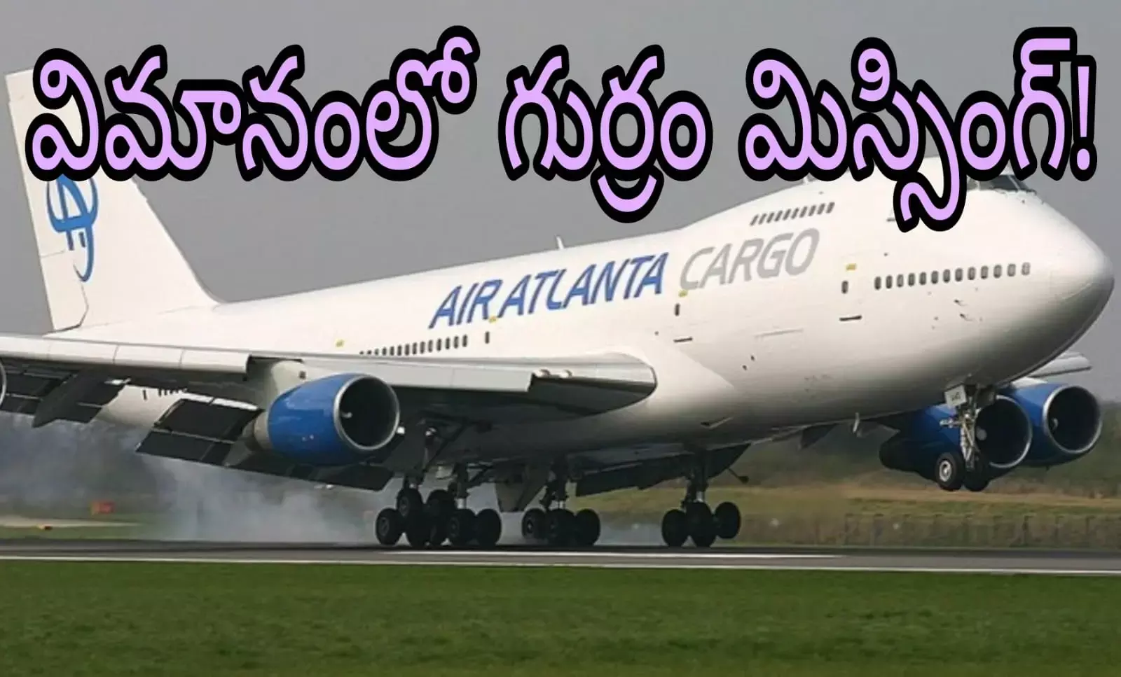 ఫ్లైట్ లో గుర్రం గోల