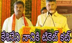 చంద్రబాబు నిర్ణయంపై నాని మౌనం..టీడీపీ నేతల షాక్ చంద్రబాబు నిర్ణయంపై నాని మౌనం..టీడీపీ నేతల షాక్