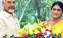 పెళ్లి పిలుపులకే..అయినా..! పెళ్లి పిలుపులకే..అయినా..!