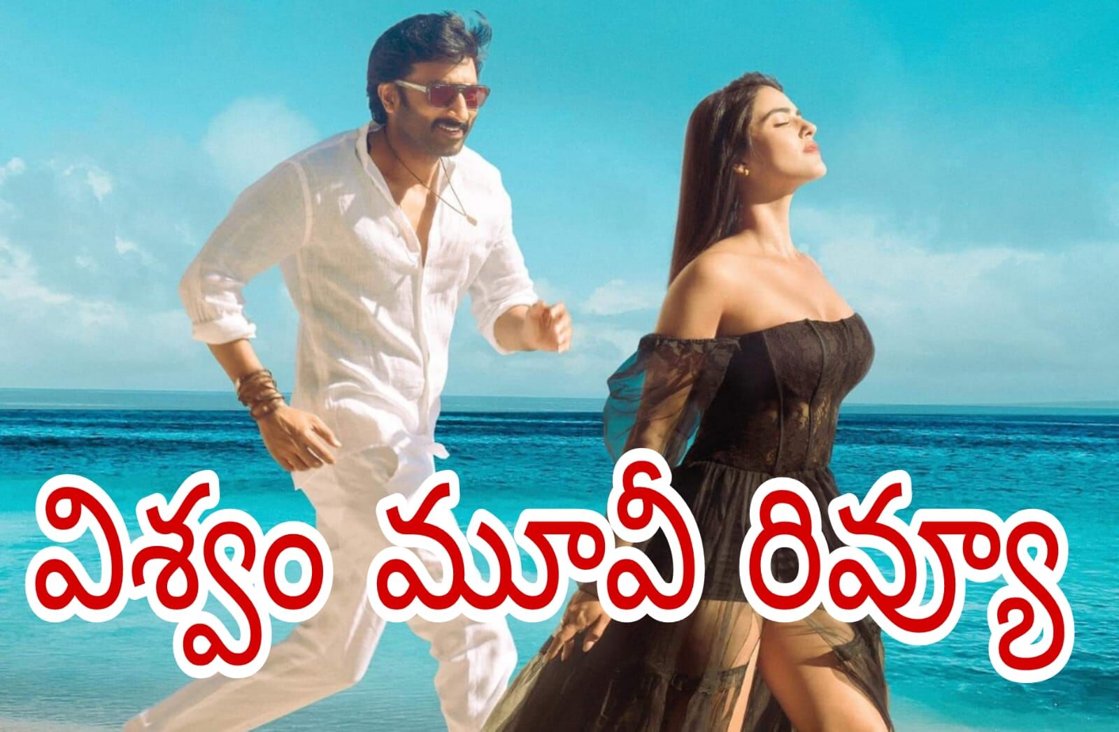 మళ్ళీ అదే మోడల్ (Viswam Movie Review)