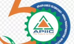 Public-Private Push in AP Sparks Fears of Rising Costs for Industries Public-Private Push in AP Sparks Fears of Rising Costs for Industries