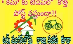 మహానాడు తర్వాత కీలక పదవి మహానాడు తర్వాత కీలక పదవి