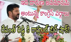 తెలంగాణాలో లో పార్టీ కి నష్టమే అన్న వ్యాఖ్యలు