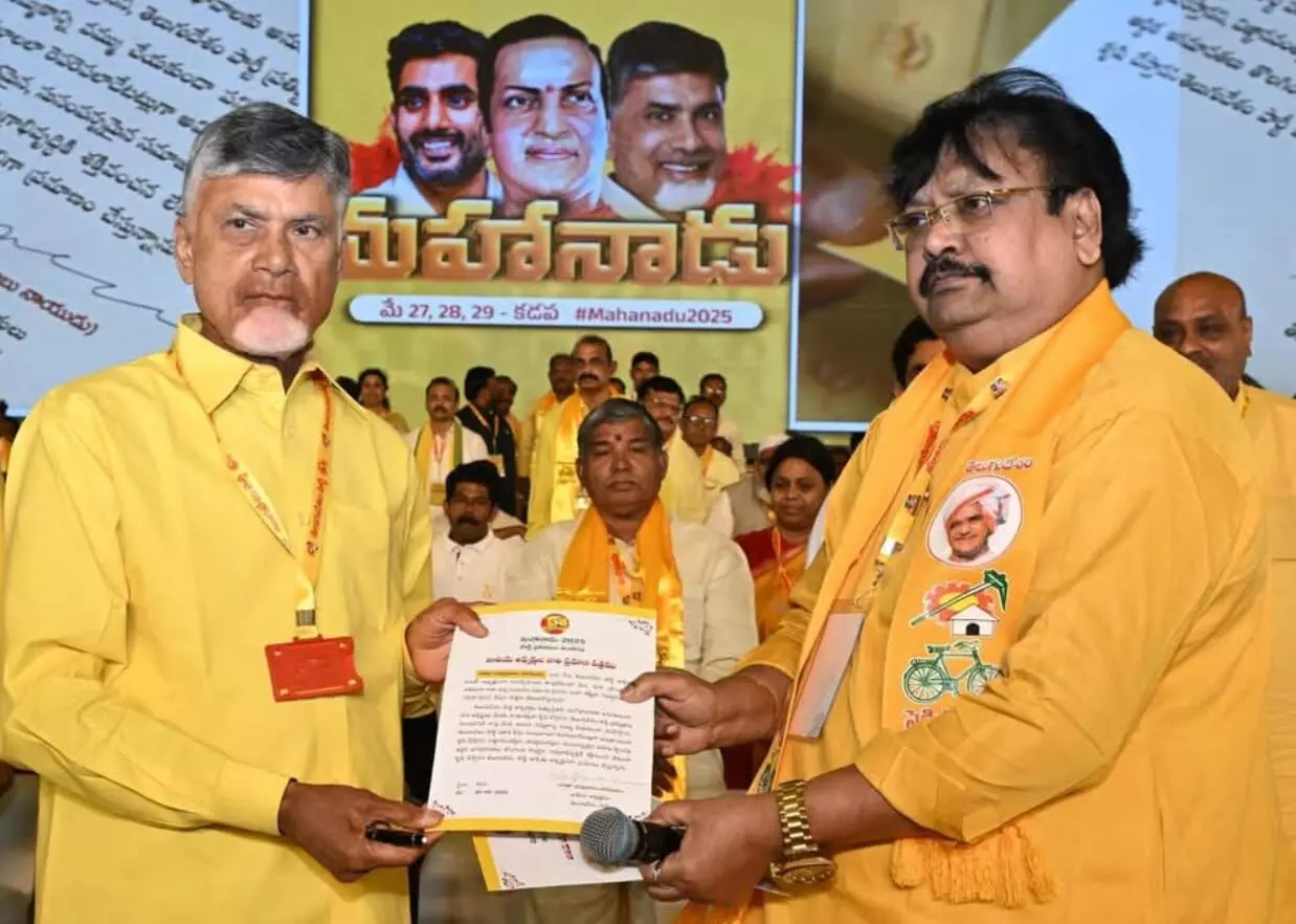 TDP Will Last as Long as Telugu People Do: Chandrababu After Re-election