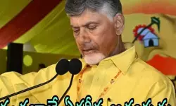 కార్యకర్తల నమ్మకాన్ని నిలబెట్టుకుంటా కార్యకర్తల నమ్మకాన్ని నిలబెట్టుకుంటా