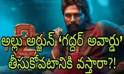 పుష్ప 2 సినిమాకి ఉత్తమ నటుడి అవార్డు