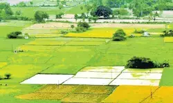 Telangana to Follow AP’s Model on Assigned Lands: Minister Confirms Telangana to Follow AP’s Model on Assigned Lands: Minister Confirms