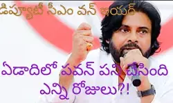 విజయాల కంటే విమర్శలే ఎక్కువ! విజయాల కంటే విమర్శలే ఎక్కువ!