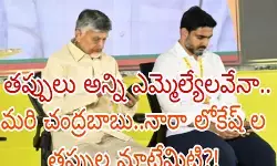 ఆ మీడియా సంస్థలపై ఎమ్మెల్యేలు ఆగ్రహం ఆ మీడియా సంస్థలపై ఎమ్మెల్యేలు ఆగ్రహం