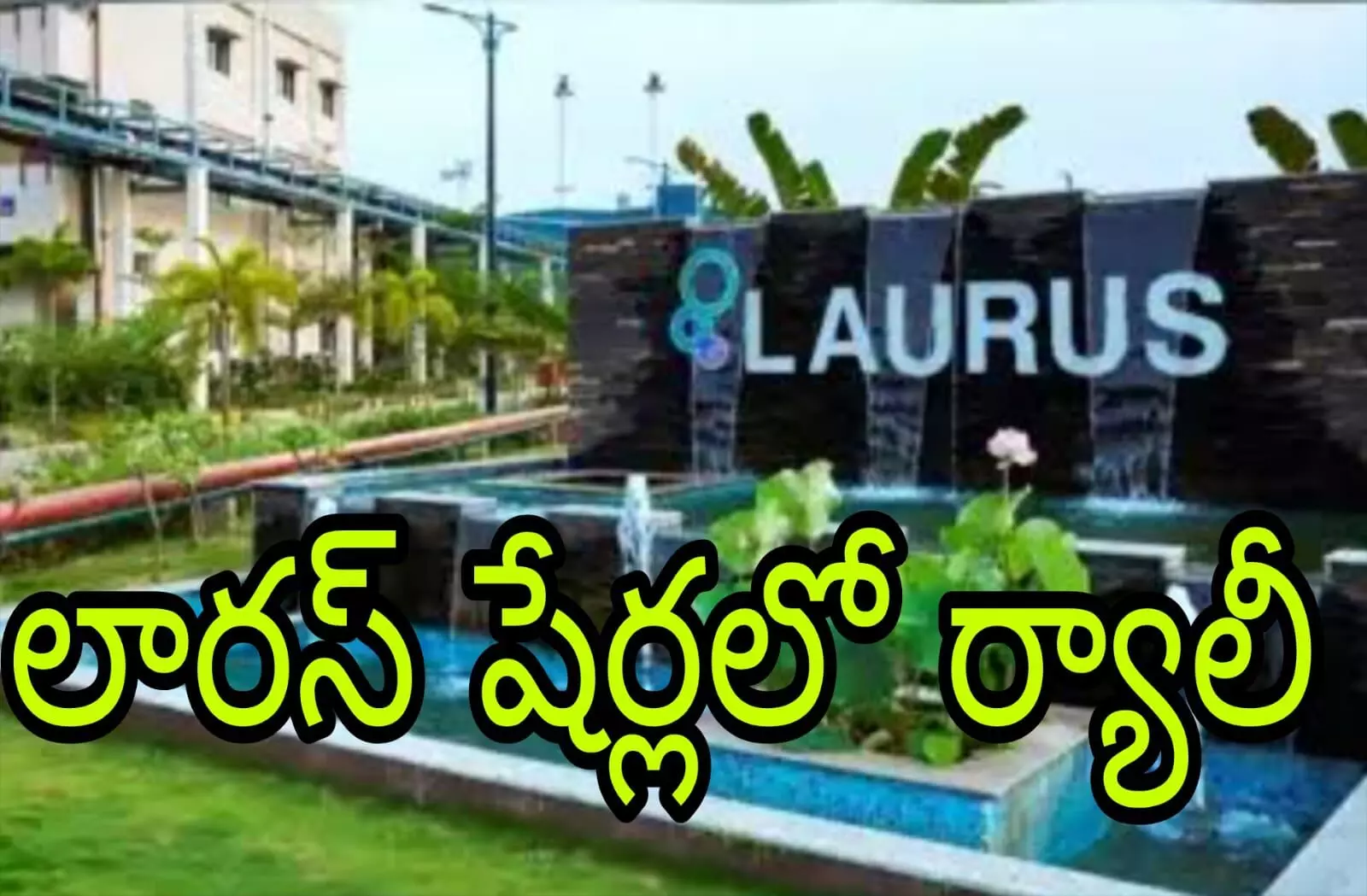 రోజుకో కొత్త గరిష్ట  స్థాయికి లారస్ షేర్లు