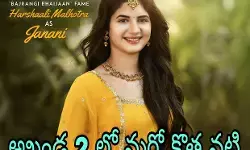 జనని రోల్ కోసం బాలీవుడ్ నుంచి..! జనని రోల్ కోసం బాలీవుడ్ నుంచి..!