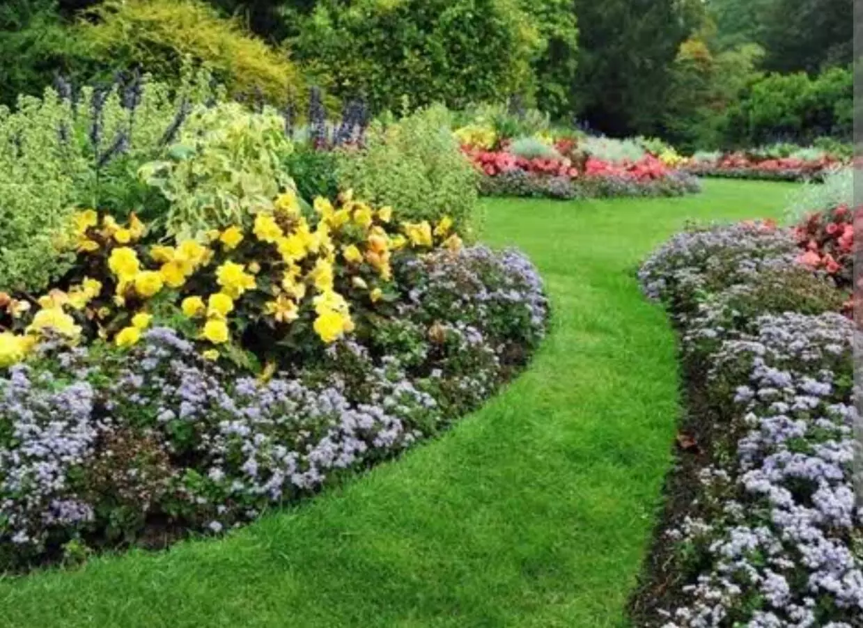 Softscape, Hard Scam: ₹799 Lakh Tender Triggers Backlash in Andhra Pradesh