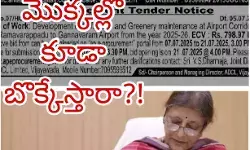 ఈ టెండర్ ప్రభుత్వ ఖజానాకు ‘టెండర్’ పెట్టేందుకే ! ఈ టెండర్ ప్రభుత్వ ఖజానాకు ‘టెండర్’ పెట్టేందుకే !