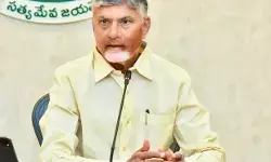 Naidu Criticizes Cabinet, Warns Ministers Over Poor Performance