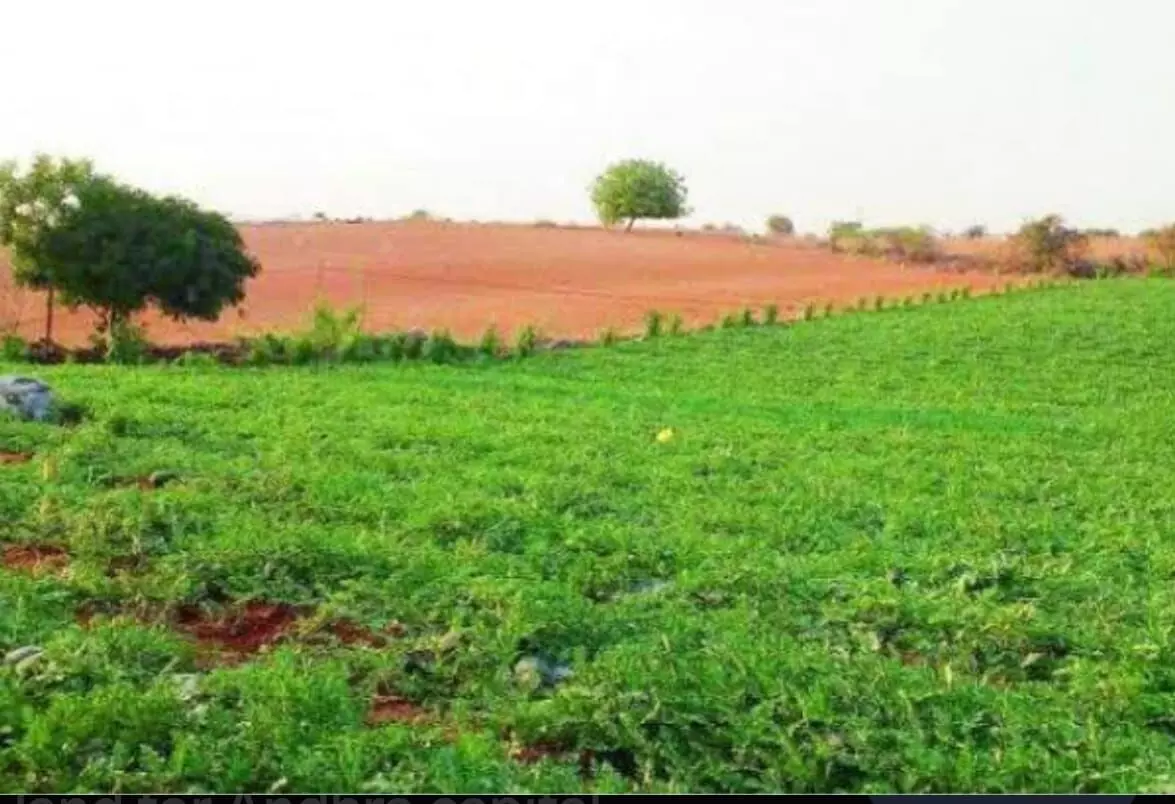 Jana Sena Puts Brakes on Amaravati Expansion Land Proposal