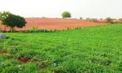 Jana Sena Puts Brakes on Amaravati Expansion Land Proposal Jana Sena Puts Brakes on Amaravati Expansion Land Proposal