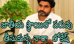 హిందీ జాతీయ భాష అనటంతో పెద్ద ఎత్తున విమర్శలు