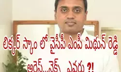 ముడుపుల నిధులు ఎంపీ కంపెనీల్లోకి!