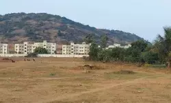 Private Firms Reap Rich Benefits as AP Govt Allots Costly Land for Peanuts Private Firms Reap Rich Benefits as AP Govt Allots Costly Land for Peanuts