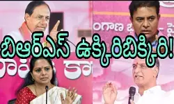 కవిత ఇంకెన్ని విషయాలు చెపుతారో! కవిత ఇంకెన్ని విషయాలు చెపుతారో!