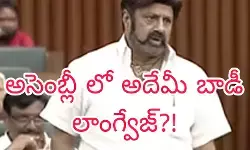 బాలకృష్ణ తీరుపై పెద్ద ఎత్తున విమర్శలు