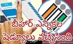 రెండు దశల్లో ఎన్నికలు రెండు దశల్లో ఎన్నికలు