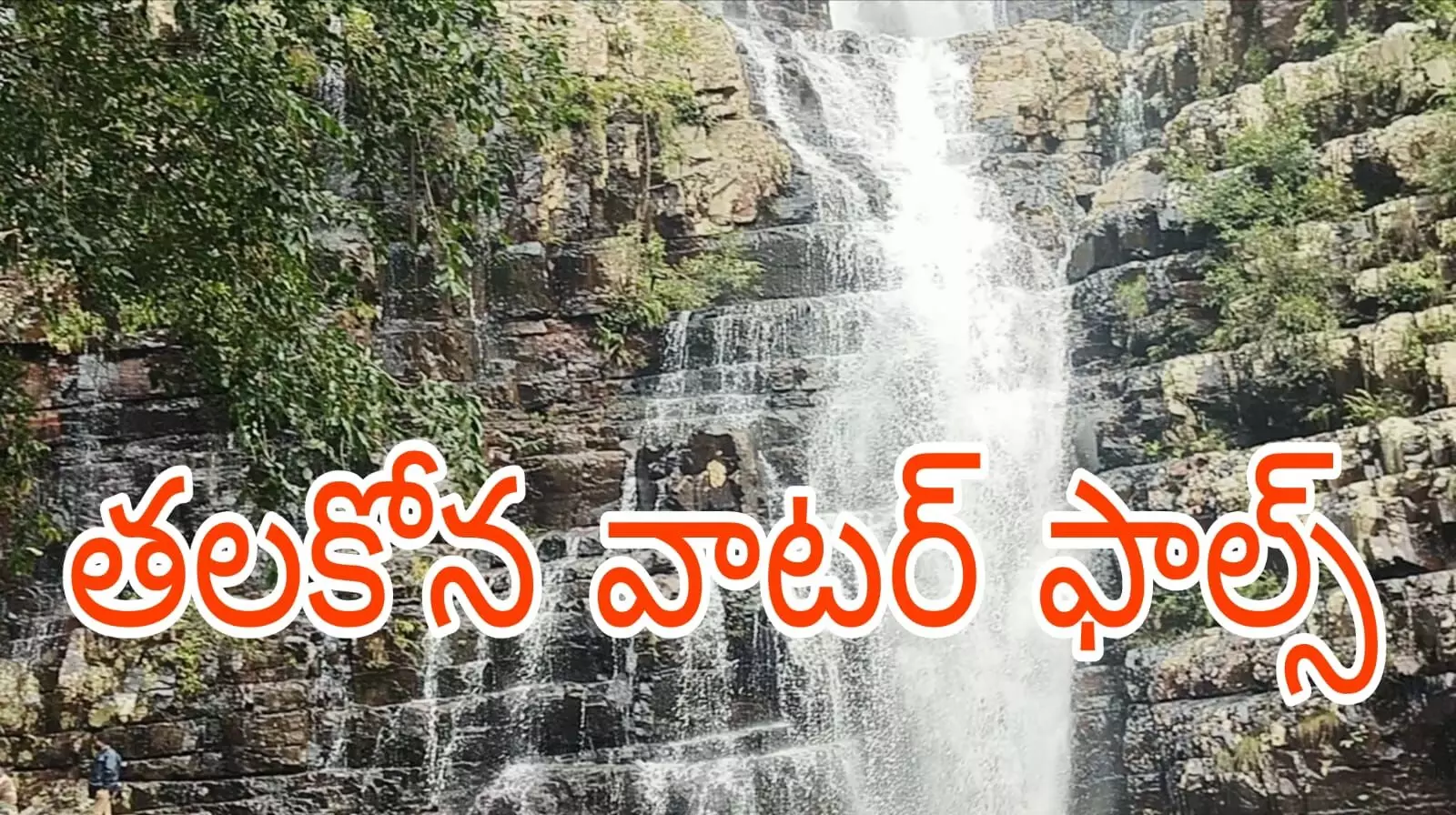 ప్రకృతి ప్రేమికులకు నచ్చే ప్లేస్ ప్రకృతి ప్రేమికులకు నచ్చే ప్లేస్