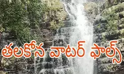 ప్రకృతి ప్రేమికులకు నచ్చే ప్లేస్ ప్రకృతి ప్రేమికులకు నచ్చే ప్లేస్