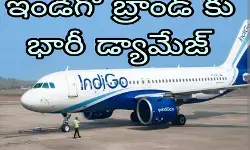 ఇండిగో బ్రాండ్ కు భారీ డ్యామేజ్ ఇండిగో బ్రాండ్ కు భారీ డ్యామేజ్