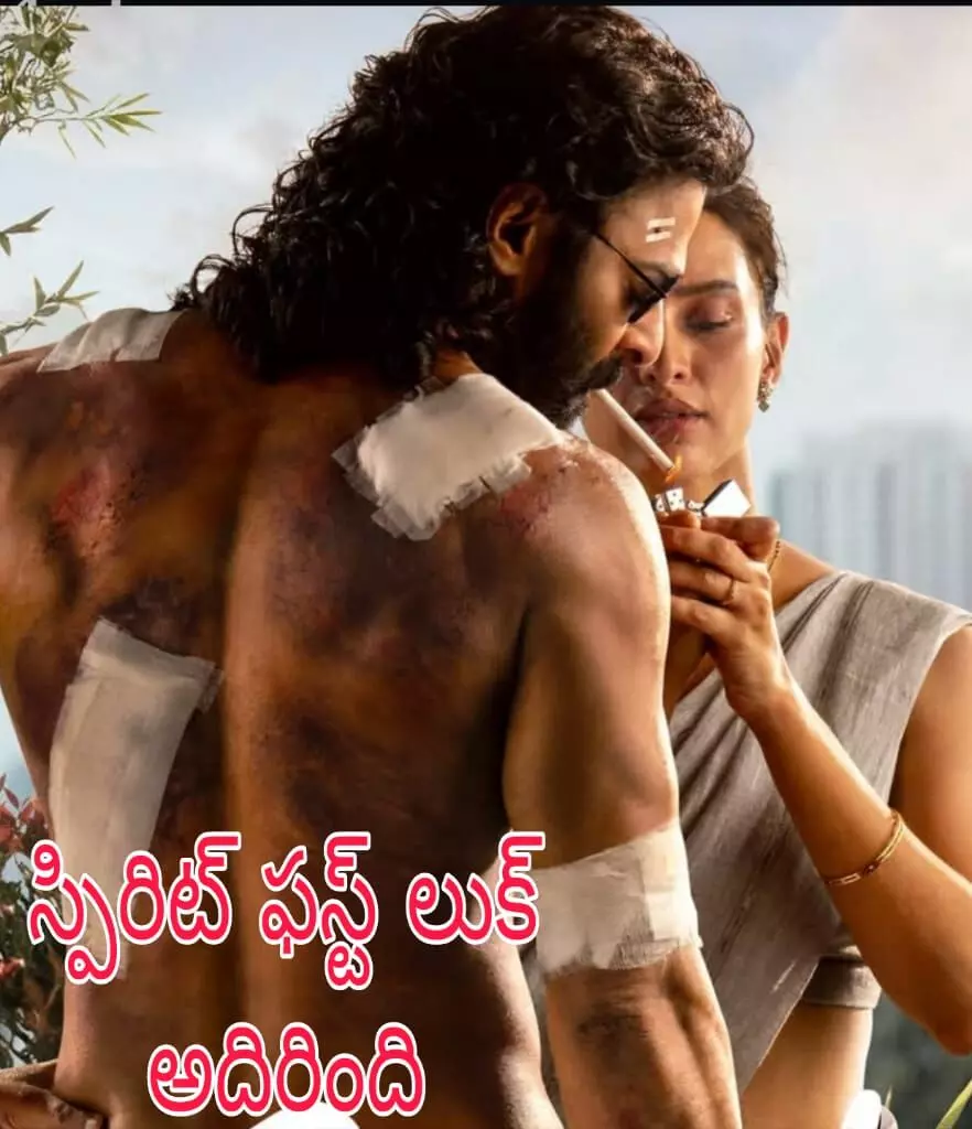 సందీప్ రెడ్డి వంగా సర్ప్రైజ్ సందీప్ రెడ్డి వంగా సర్ప్రైజ్