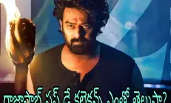 ప్రభాస్ స్టామినా అంటే ఇదే!