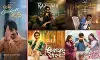 Who Is the Sankranti Winner at the Tollywood Box Office?