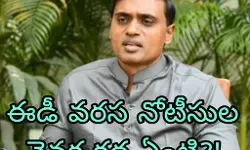 లిక్కర్ స్కాం లో ఈడీ దూకుడు