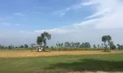 Vizag Assigned Lands Scam: Why CM & Dy CM Are Silent