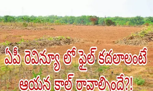 అనధికారికంగా ఎన్ ఆర్ ఐ కి కీలక బాధ్యతలు !