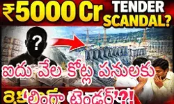 బినామీ కంపెనీతో రంగంలోకి !
