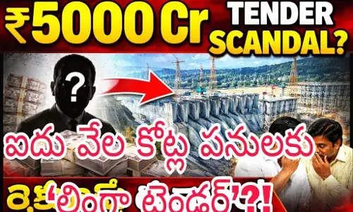 బినామీ కంపెనీతో రంగంలోకి !