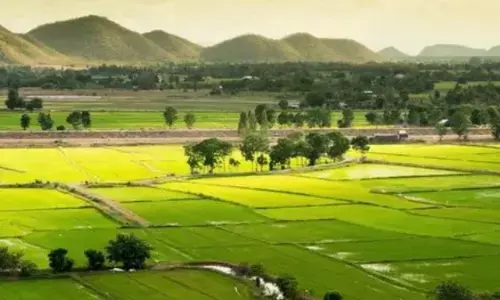 Corruption Allegations Rock RDO, DRO Postings in AP!