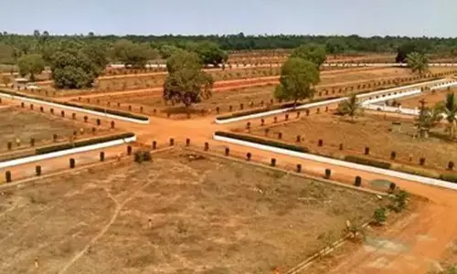 AP Power Play: Ministers Accused of Coordinated Land Scams!