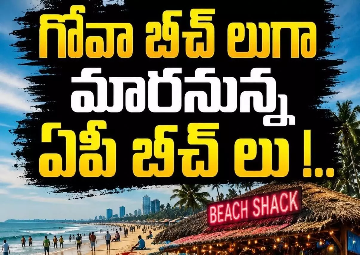 బీచ్ షాక్స్ కు మంత్రి వర్గం ఆమోదం బీచ్ షాక్స్ కు మంత్రి వర్గం ఆమోదం