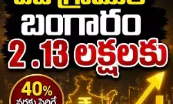 అంతర్జాతీయ సంస్థల అంచనాలు! అంతర్జాతీయ సంస్థల అంచనాలు!