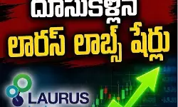 మార్కెట్ తగ్గినా 52 వారాల గరిష్ట స్థాయికి మార్కెట్ తగ్గినా 52 వారాల గరిష్ట స్థాయికి
