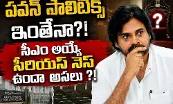 అసెంబ్లీకి వెళ్లి  సభలోకి వెళ్లని ఉప ముఖ్యమంత్రి!
