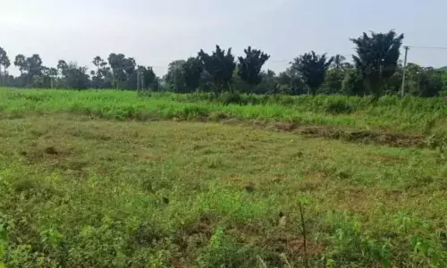 New Land Deal Near Bhogapuram Airport? 2,000 Acres Under Scanner?!