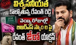 వీటి వెనక కథ ఏంటి?! వీటి వెనక కథ ఏంటి?!