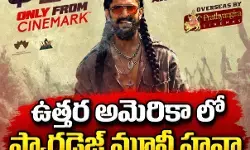 ప్యారడైజ్ మూవీ పై పెరుగుతున్న అంచనాలు ప్యారడైజ్ మూవీ పై పెరుగుతున్న అంచనాలు