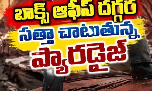 ప్యారడైజ్ మూడు రోజుల వసూళ్లు ఎంతో తెలుసా?!