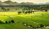 AP Land Scam: Big Plot to Grab Thousands of Acres of Assigned Lands? AP Land Scam: Big Plot to Grab Thousands of Acres of Assigned Lands?